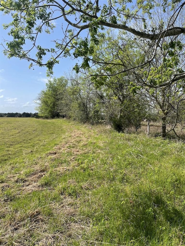 TBD Fm 2238, Schulenburg, TX 78956 - photo 27
