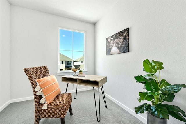 2316 Gold Dust Trl, Leander, TX 78641 - carpeted home office with baseboards