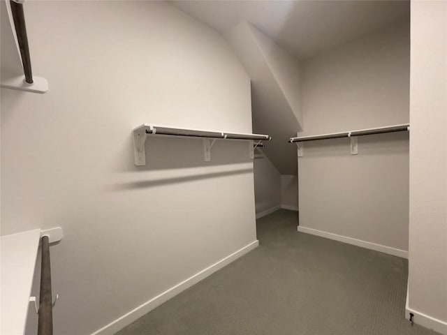 2316 Gold Dust Trl, Leander, TX 78641 - spacious closet with dark colored carpet
