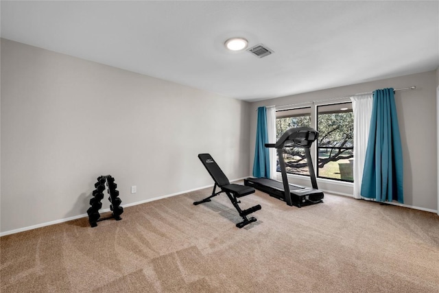 207 Lasso St, Horseshoe Bay, TX 78657 - exercise area featuring carpet floors and baseboards
