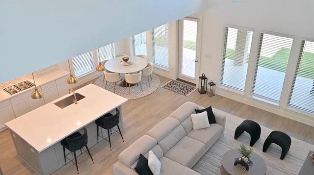 living room featuring light wood finished floors
