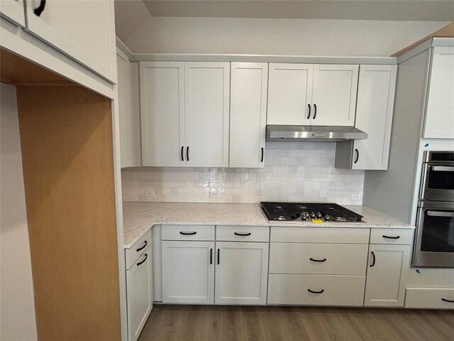 8213 Grenadier Dr, Austin, TX 78738 - kitchen with appliances with stainless steel finishes, under cabinet range hood, wood finished floors, and decorative backsplash