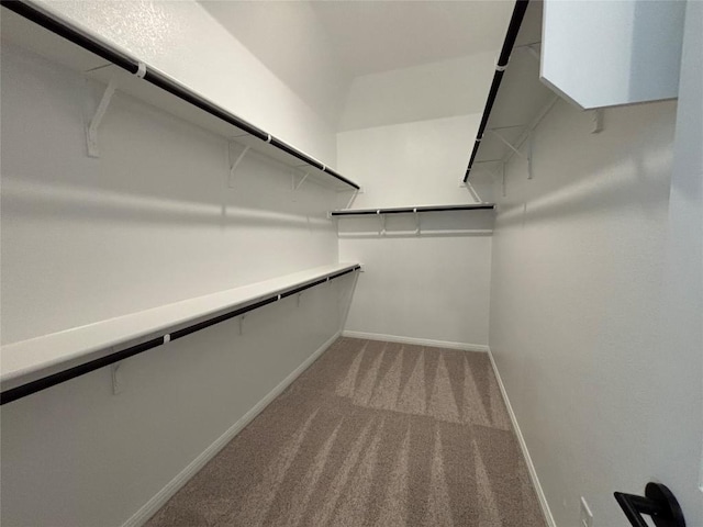 8213 Grenadier Dr, Austin, TX 78738 - spacious closet with carpet