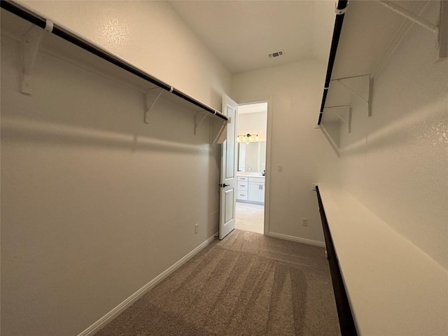 8213 Grenadier Dr, Austin, TX 78738 - spacious closet with carpet floors