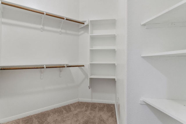 13601 Larrys Ln, Manchaca, TX 78652 - walk in closet featuring carpet flooring