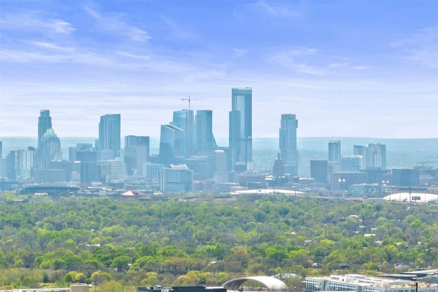 1908 Running Brook Dr, Austin, TX 78723 - view of city skyline
