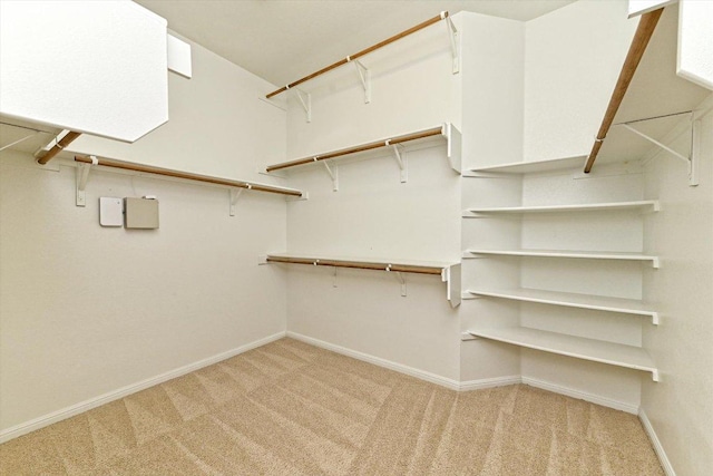 412 Madisons Way, Cedar Park, TX 78613 - spacious closet featuring carpet floors