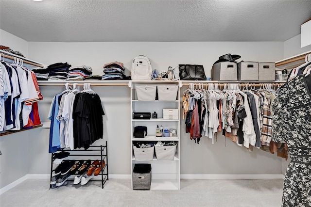 2004 Wood Glen Dr, Round Rock, TX 78681 - spacious closet with carpet floors
