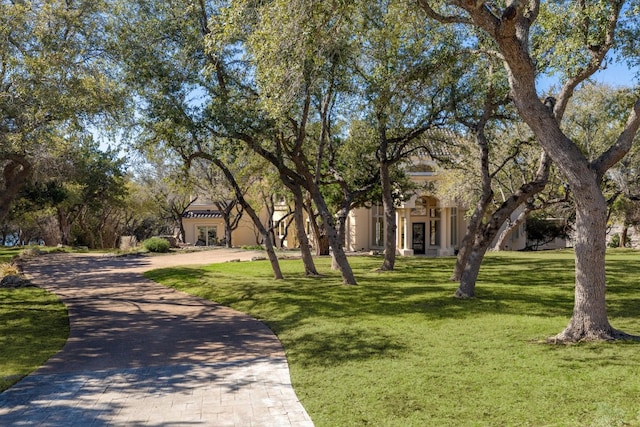 19801 Angel Bay Dr, Spicewood, TX 78669 - view of property hidden behind natural elements with a front yard, decorative driveway, and stucco siding