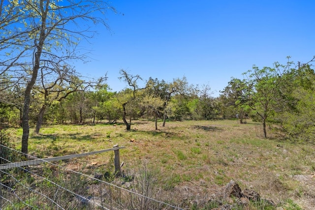 200 Oak Springs Dr, Dripping Springs, TX 78620 - photo 26