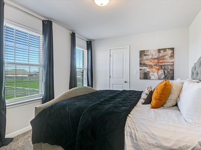 218 Pearland St, Hutto, TX 78634 - bedroom featuring carpet floors and baseboards