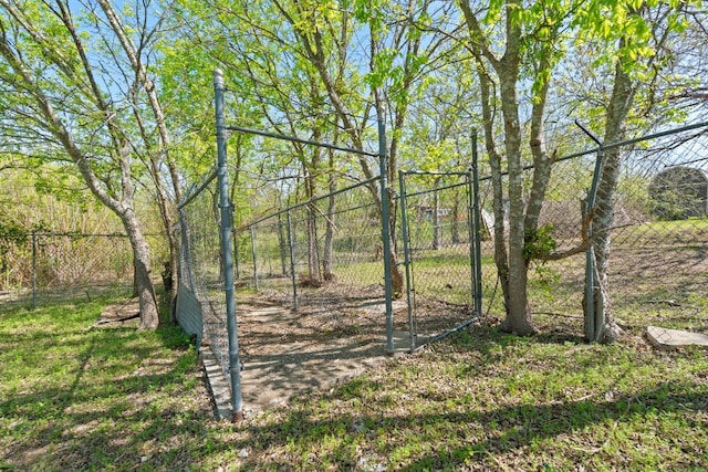 405 E Browning St, Manor, TX 78653 - view of yard