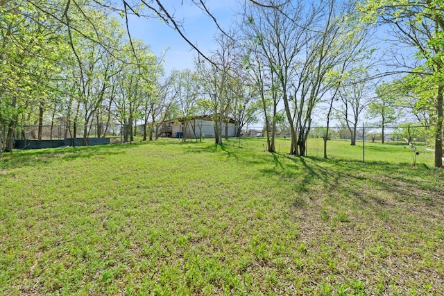 405 E Browning St, Manor, TX 78653 - view of yard