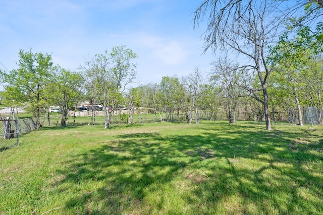 405 E Browning St, Manor, TX 78653 - view of yard