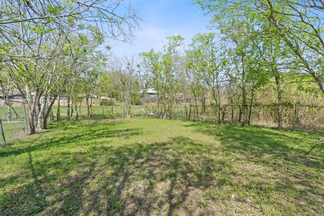 405 E Browning St, Manor, TX 78653 - view of yard