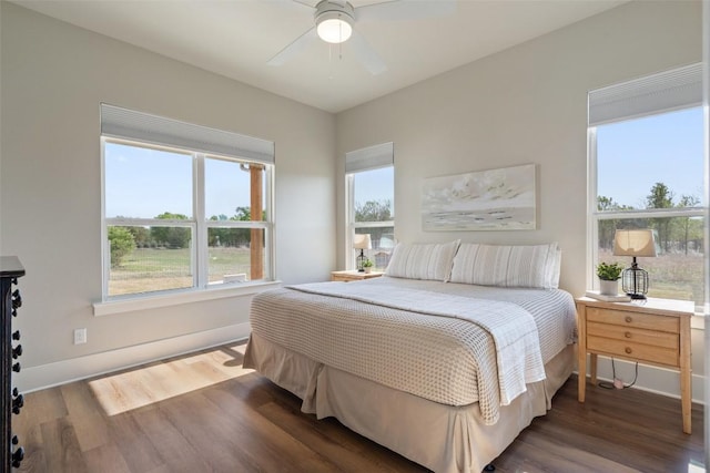 200 County Road 246, Florence, TX 76527 - bedroom featuring wood finished floors, multiple windows, and baseboards