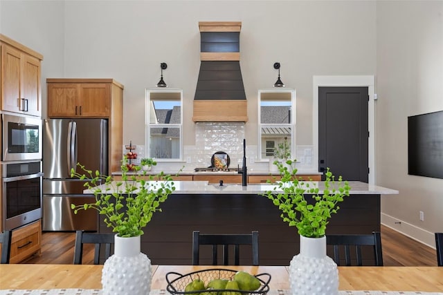 200 County Road 246, Florence, TX 76527 - kitchen with stainless steel appliances, a high ceiling, tasteful backsplash, dark wood-type flooring, and a sink