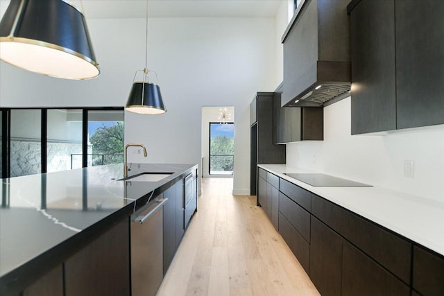 317 Azalea Ct, Horseshoe Bay, TX 78657 - kitchen with a sink, wall chimney range hood, dishwasher, light wood-type flooring, and black electric stovetop