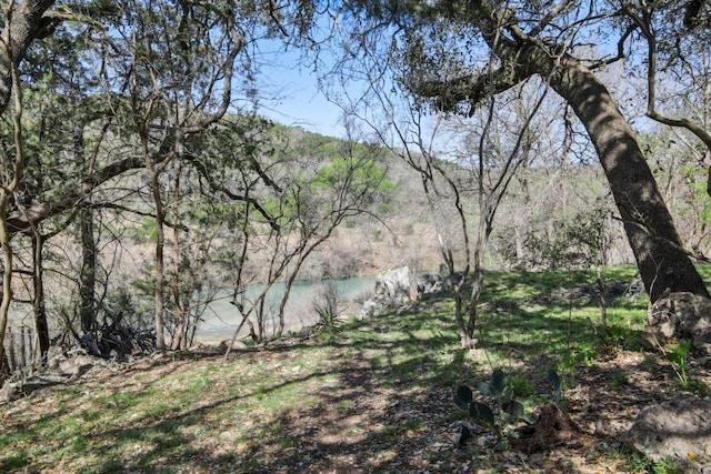 520 River Rapids Rd, Wimberley, TX 78676 - water view featuring a forest