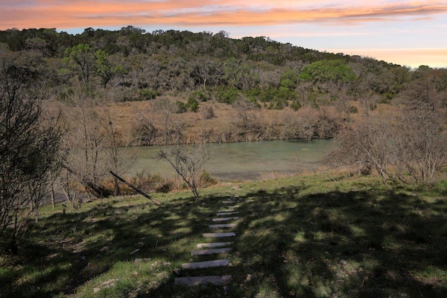 520 River Rapids Rd, Wimberley, TX 78676 - water view with a heavily wooded area