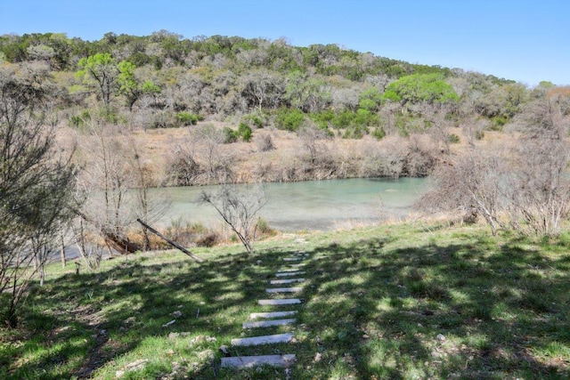 520 River Rapids Rd, Wimberley, TX 78676 - water view featuring a forest