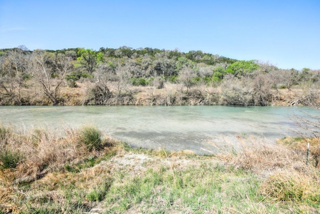 520 River Rapids Rd, Wimberley, TX 78676 - water view featuring a heavily wooded area