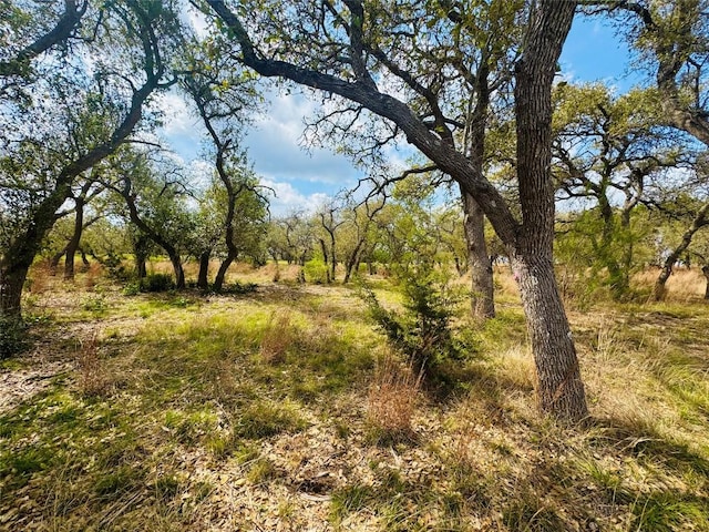 122 Carousel Ln, Driftwood, TX 78619 - photo 6