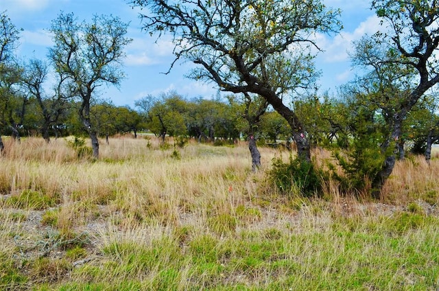 122 Carousel Ln, Driftwood, TX 78619 - photo 10