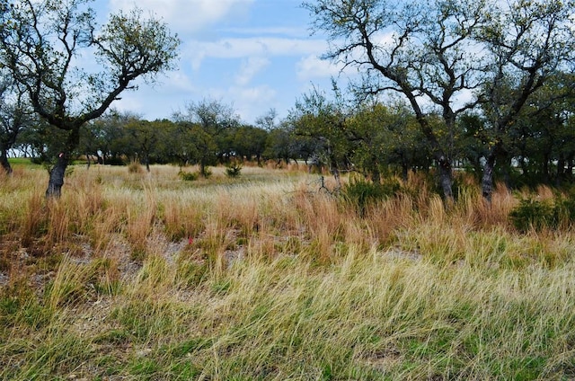122 Carousel Ln, Driftwood, TX 78619 - photo 11