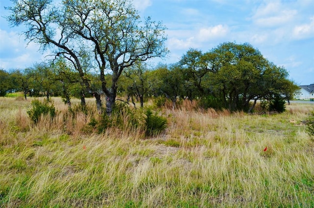 122 Carousel Ln, Driftwood, TX 78619 - photo 12