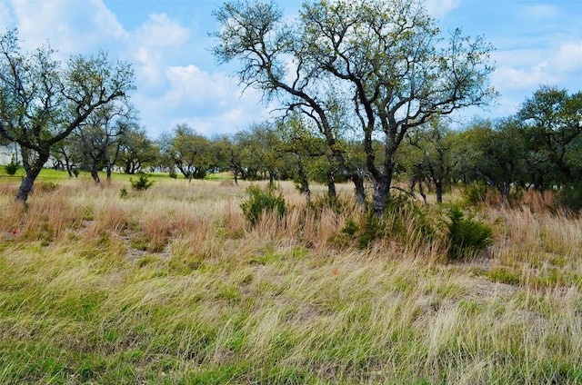122 Carousel Ln, Driftwood, TX 78619 - photo 13