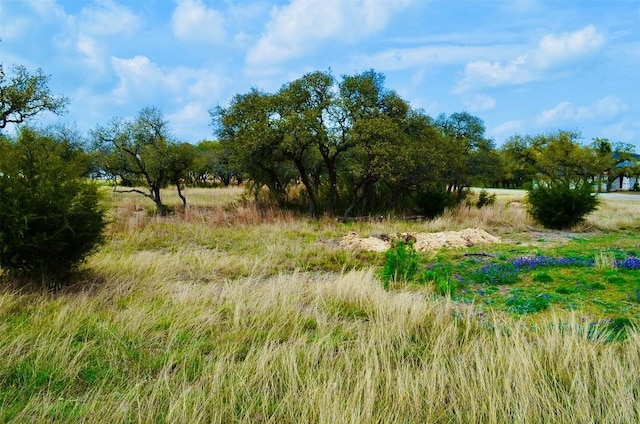 122 Carousel Ln, Driftwood, TX 78619 - photo 14