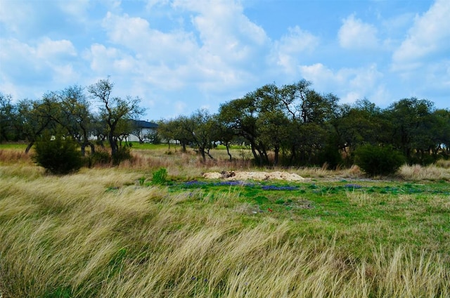 122 Carousel Ln, Driftwood, TX 78619 - photo 15