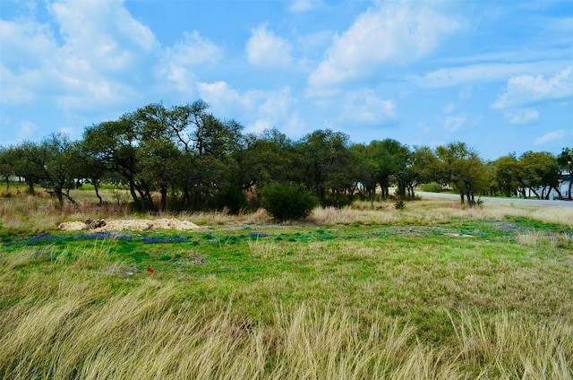 122 Carousel Ln, Driftwood, TX 78619 - photo 16