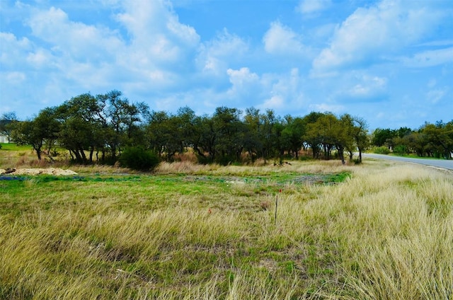 122 Carousel Ln, Driftwood, TX 78619 - photo 17