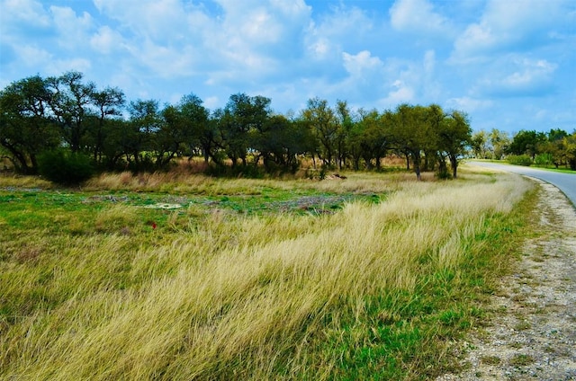 122 Carousel Ln, Driftwood, TX 78619 - photo 18