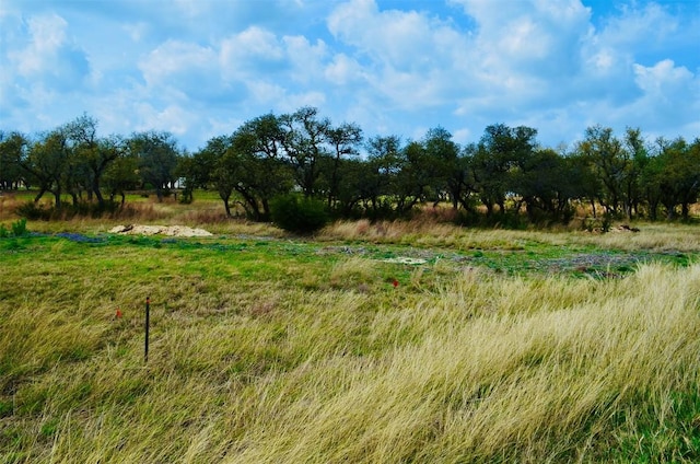 122 Carousel Ln, Driftwood, TX 78619 - photo 19