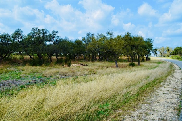 122 Carousel Ln, Driftwood, TX 78619 - photo 21