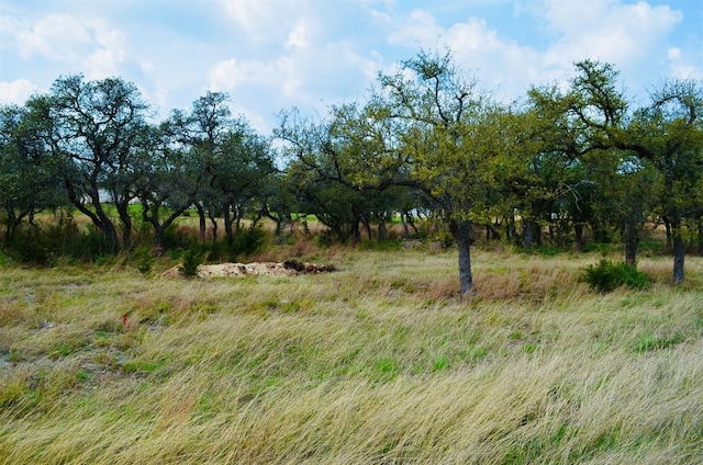 122 Carousel Ln, Driftwood, TX 78619 - photo 22