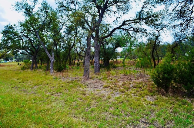 122 Carousel Ln, Driftwood, TX 78619 - photo 27