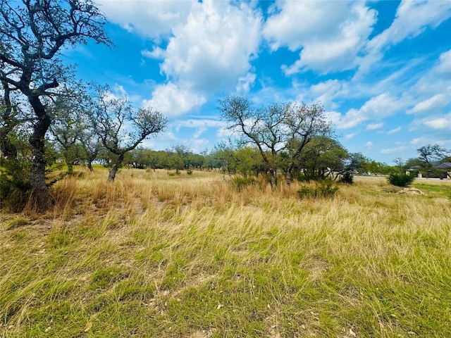 122 Carousel Ln, Driftwood, TX 78619 - photo 28