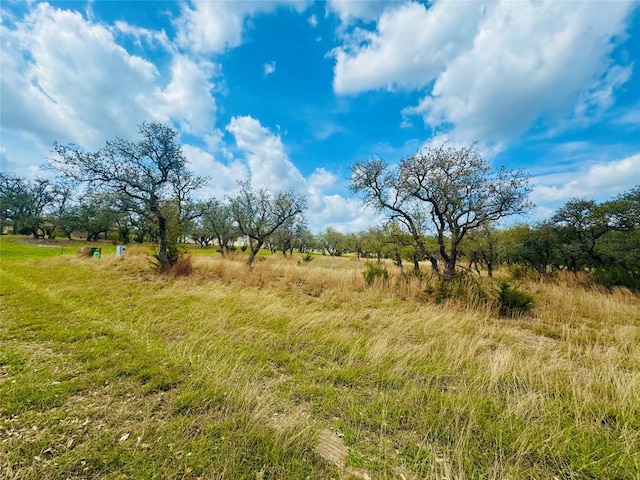 122 Carousel Ln, Driftwood, TX 78619 - photo 29