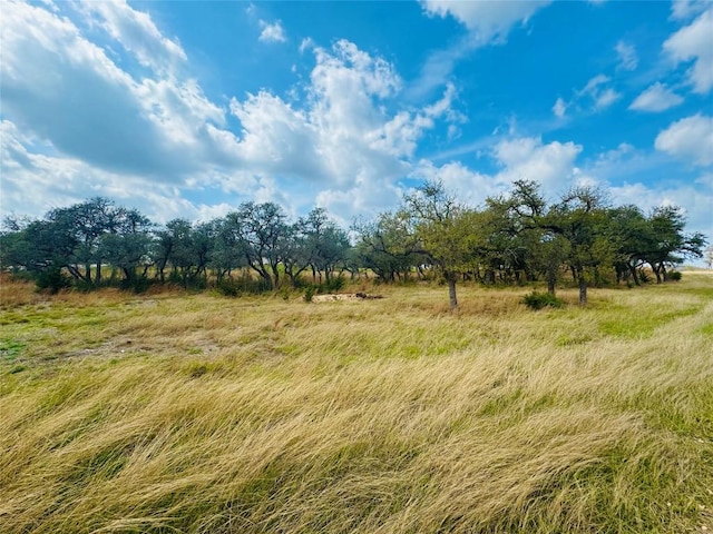 122 Carousel Ln, Driftwood, TX 78619 - photo 33