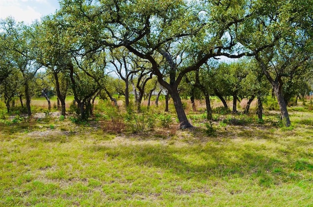 122 Carousel Ln, Driftwood, TX 78619 - photo 1