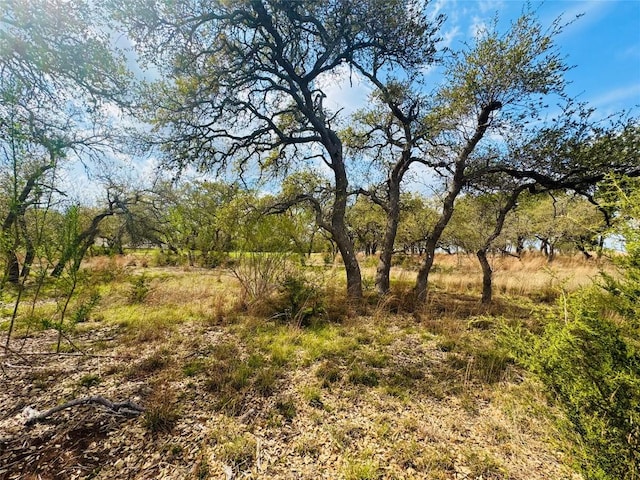 122 Carousel Ln, Driftwood, TX 78619 - photo 3