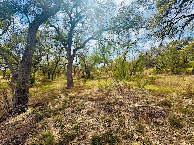 122 Carousel Ln, Driftwood, TX 78619 - photo 4