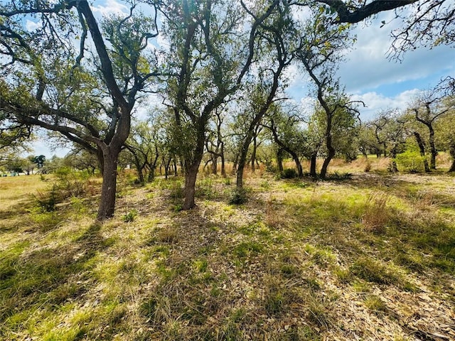 122 Carousel Ln, Driftwood, TX 78619 - photo 5