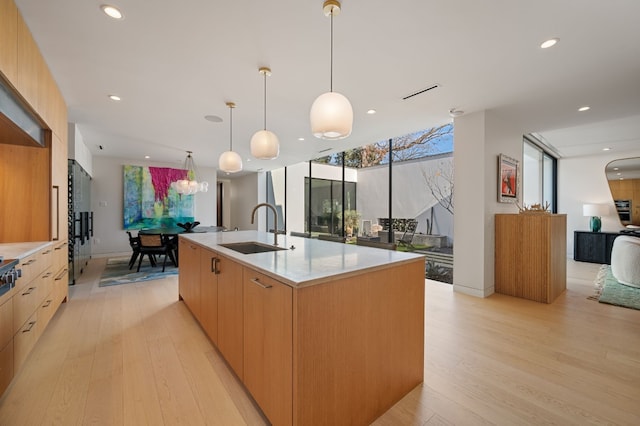 kitchen with light wood-style floors, modern cabinets, plenty of natural light, and a sink