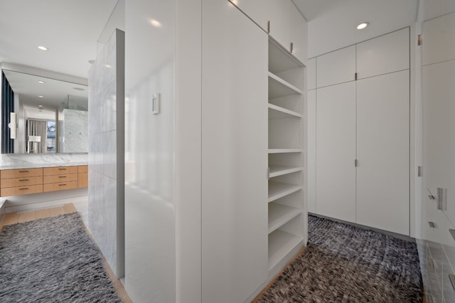 701 W Elizabeth St, Austin, TX 78704 - view of spacious closet