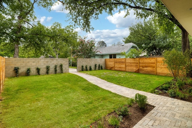 933 E 52nd St, Austin, TX 78751 - view of yard with a gate
